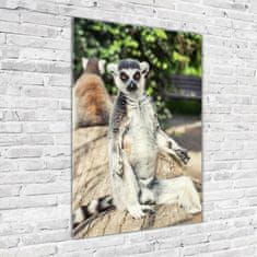 Wallmuralia Vertikální Fotoobraz skleněný na stěnu do obýváku Lemur 70x100 cm 4 úchytky