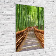 Wallmuralia Vertikální Foto obraz sklo tvrzené Bambusový les 70x100 cm 2 úchytky