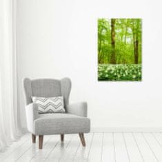 Wallmuralia Vertikální Foto obraz fotografie na skle Květy v leze 70x100 cm 4 úchytky