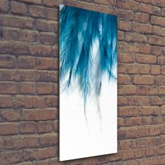 Wallmuralia Vertikální Foto obraz skleněný svislý Modré pírka 50x125 cm 4 úchytky