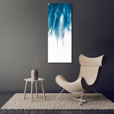 Wallmuralia Vertikální Foto obraz skleněný svislý Modré pírka 50x125 cm 4 úchytky