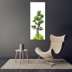 Wallmuralia Vertikální Foto obraz sklo tvrzené Bonsai 70x140 cm 2 úchytky