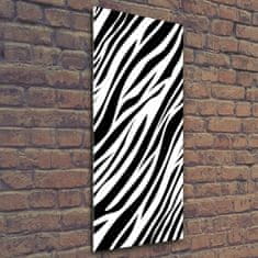 Wallmuralia Vertikální Foto obraz sklo tvrzené Zebra pozadí 50x125 cm 4 úchytky