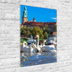 Wallmuralia Vertikální Foto obraz sklo tvrzené Krakov Polsko 70x100 cm 4 úchytky