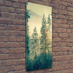 Wallmuralia Vertikální Foto obraz fotografie na skle Mlha nad lesem 50x125 cm 4 úchytky