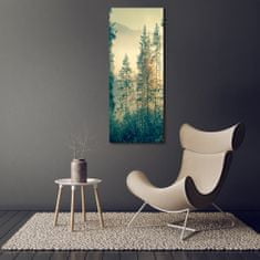 Wallmuralia Vertikální Foto obraz fotografie na skle Mlha nad lesem 50x125 cm 4 úchytky