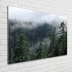 Wallmuralia Foto obraz fotografie na skle Lesní mlha 100x70 cm 2 úchytky