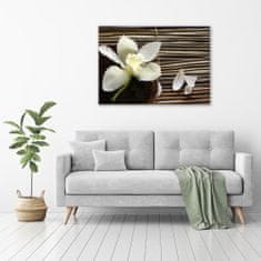 Wallmuralia Foto obraz canvas Orchidej 100x70 cm