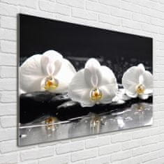 Wallmuralia Foto-obrah sklo tvrzené Orchidej 100x70 cm 2 úchytky