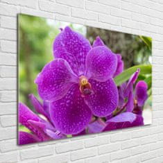 Wallmuralia Foto obraz skleněný horizontální Orchidej 100x70 cm 4 úchytky