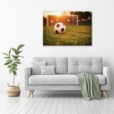 Wallmuralia Foto obraz canvas Míč na hřišti 100x70 cm