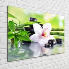 Wallmuralia Foto-obrah sklo tvrzené Orchidej 100x70 cm 2 úchytky