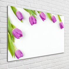 Wallmuralia Moderní skleněný obraz z fotografie Fialové tulipány 100x70 cm 4 úchytky