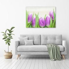 Wallmuralia Foto obraz fotografie na skle Fialové tulipány 100x70 cm 2 úchytky