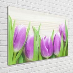 Wallmuralia Foto obraz fotografie na skle Fialové tulipány 100x70 cm 2 úchytky