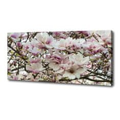 Wallmuralia Foto-obraz canvas do obýváku Květiny magnolie 125x50 cm