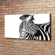 Wallmuralia Foto obraz canvas Zebra ve sněhu 120x60 cm