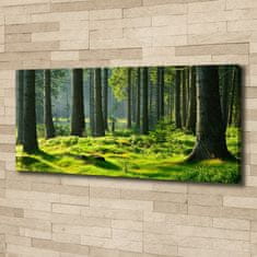 Wallmuralia Foto obraz canvas Smrkový les 125x50 cm