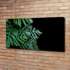 Wallmuralia Foto-obraz canvas do obýváku Monstera 120x60 cm