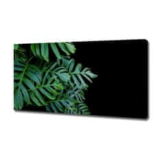 Wallmuralia Foto-obraz canvas do obýváku Monstera 120x60 cm