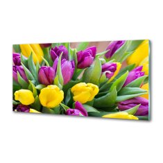 Wallmuralia Panel do kuchyně Barevné tulipány 100x50 cm