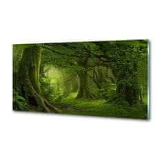 Wallmuralia Panel do kuchyně Tropická džungle 100x50 cm