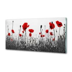 Wallmuralia Panel na stěnu tvrzené sklo Máky 120x60 cm