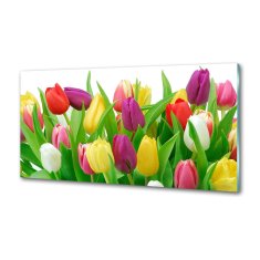 Wallmuralia Panel do kuchyně Barevné tulipány 100x50 cm