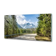 Wallmuralia Dekorační panel sklo Cesta Tatry 100x50 cm