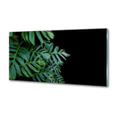 Wallmuralia Skleněný panel do kuchynské linky Monstera 100x50 cm