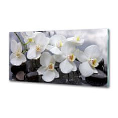 Wallmuralia Skleněný panel do kuchynské linky Orchidej 100x50 cm