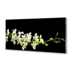 Wallmuralia Skleněný panel do kuchynské linky Orchidej 100x50 cm