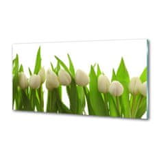 Wallmuralia Panel do kuchyně Bílé tulipány 100x50 cm