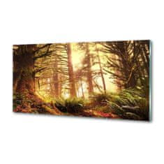 Wallmuralia Panel do kuchyně Dešťový prales 125x50 cm