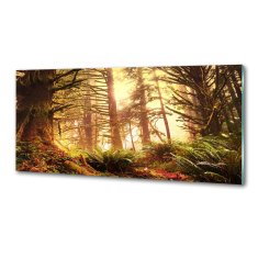 Wallmuralia Panel do kuchyně Dešťový prales 125x50 cm