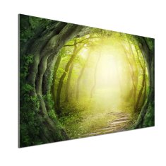 Wallmuralia Panel do kuchyně Tunel ze stromů 100x70 cm