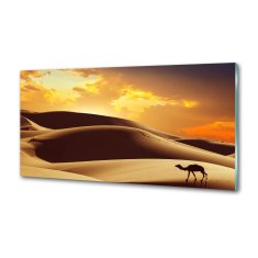 Wallmuralia Panel do kuchyně Velbloud Sahara 100x50 cm