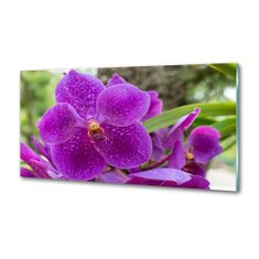 Wallmuralia Skleněný panel do kuchynské linky Orchidej 100x50 cm