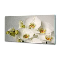 Wallmuralia Panel do kuchyně Bílá orchidej 125x50 cm