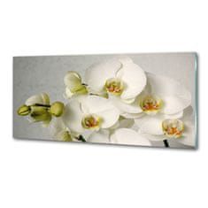 Wallmuralia Panel do kuchyně Bílá orchidej 125x50 cm