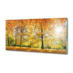 Wallmuralia Dekorační panel sklo Podzimní les 125x50 cm