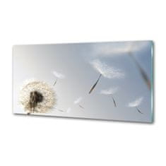 Wallmuralia Dekorační panel sklo Pampeliška 100x70 cm