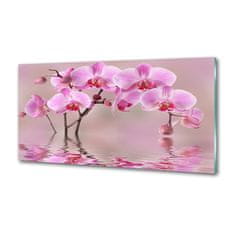 Wallmuralia Panel do kuchyně Růžová orchidej 100x50 cm