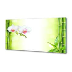 Wallmuralia Panel do kuchyně Orchidej a bambus 100x50 cm