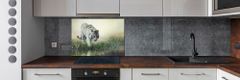 Wallmuralia Dekorační panel sklo Bílý tygr 100x70 cm