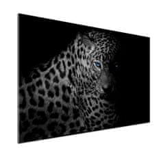 Wallmuralia Skleněný panel do kuchyně Leopard 100x70 cm