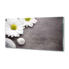 Wallmuralia Skleněný panel do kuchyně Gerbera 120x60 cm