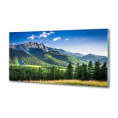 Wallmuralia Panel do kuchyně Skokanský můstek Tatry 100x50 cm