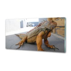 Wallmuralia Skleněný panel do kuchyně Iguana 100x50 cm