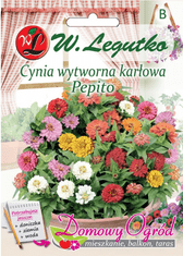 Legutko Semena cínie elegantní trpasličí Pepito mix